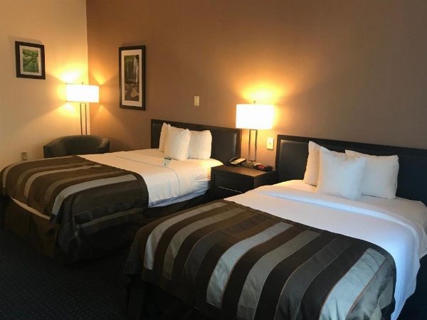 Wingate by Wyndham Augusta/Fort Eisenhower image 13